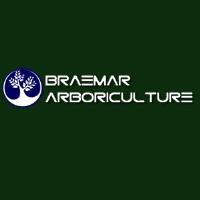 Braemar Arboriculture Limited image 1